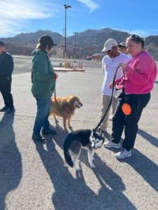 Doggies walking in the ABF Hike and Heal Event 2022